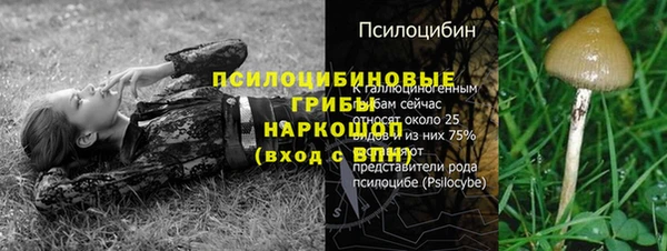 синтетический гашиш Богородицк
