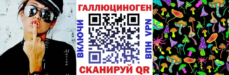 Псилоцибиновые грибы Psilocybine cubensis  где купить наркоту  Новороссийск 
