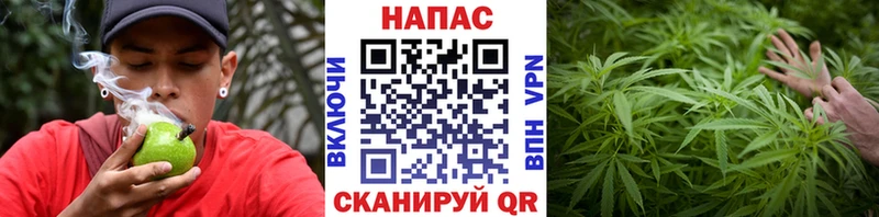 Шишки марихуана LSD WEED  Новороссийск 
